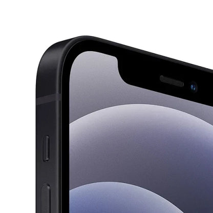 iPhone 12 Mini Ricondizionato
